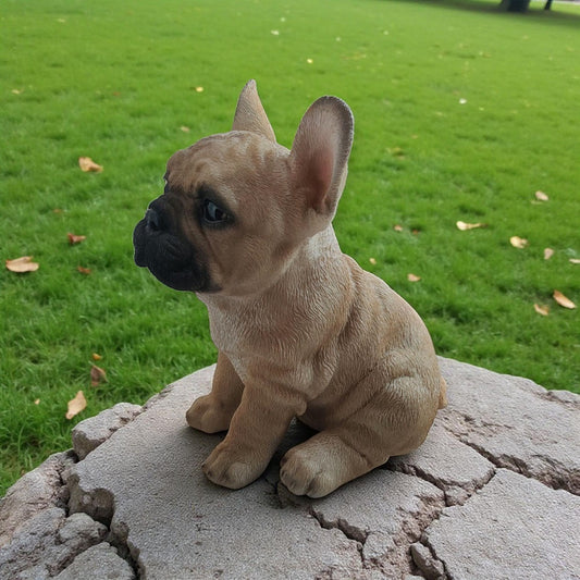 Fransk bulldog sidder ned