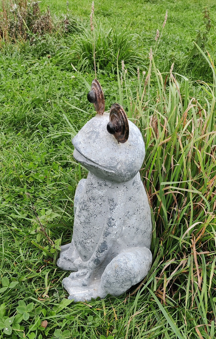 Herr Froggy - groda