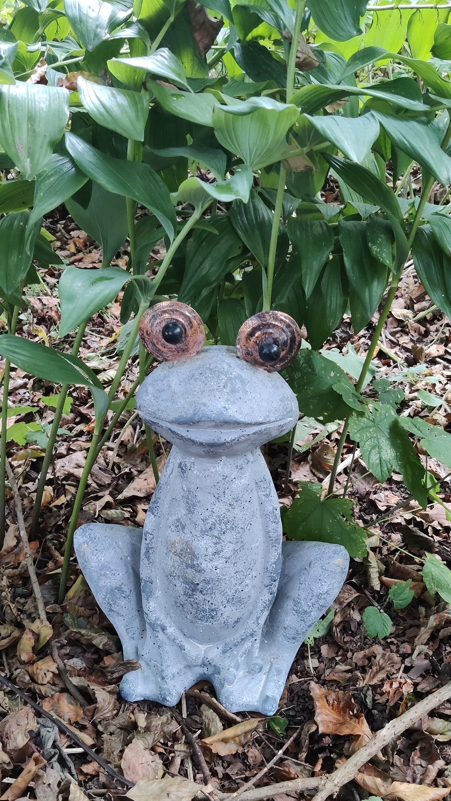 Herr Froggy - groda