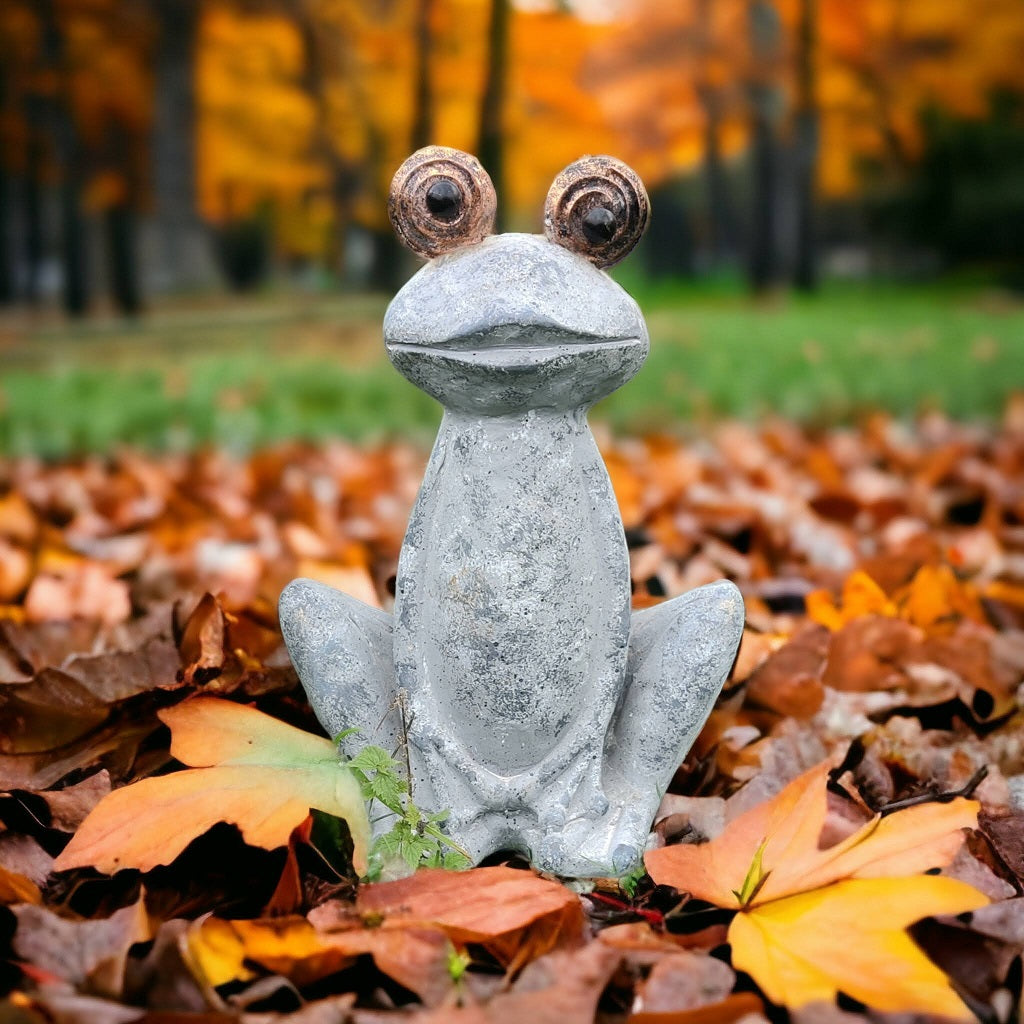 Herr Froggy - groda