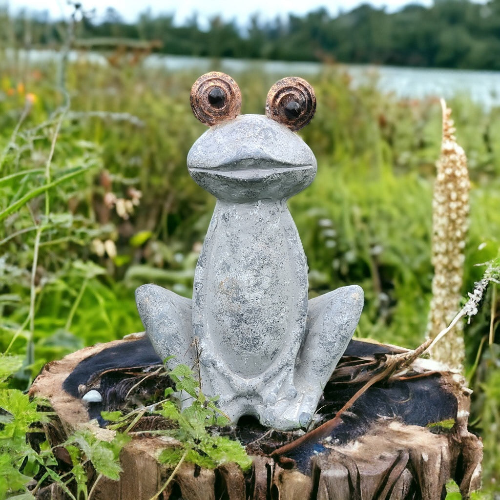 Herr Froggy - groda