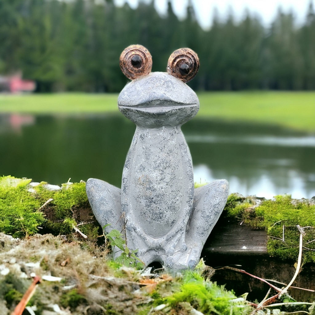 Herr Froggy - groda