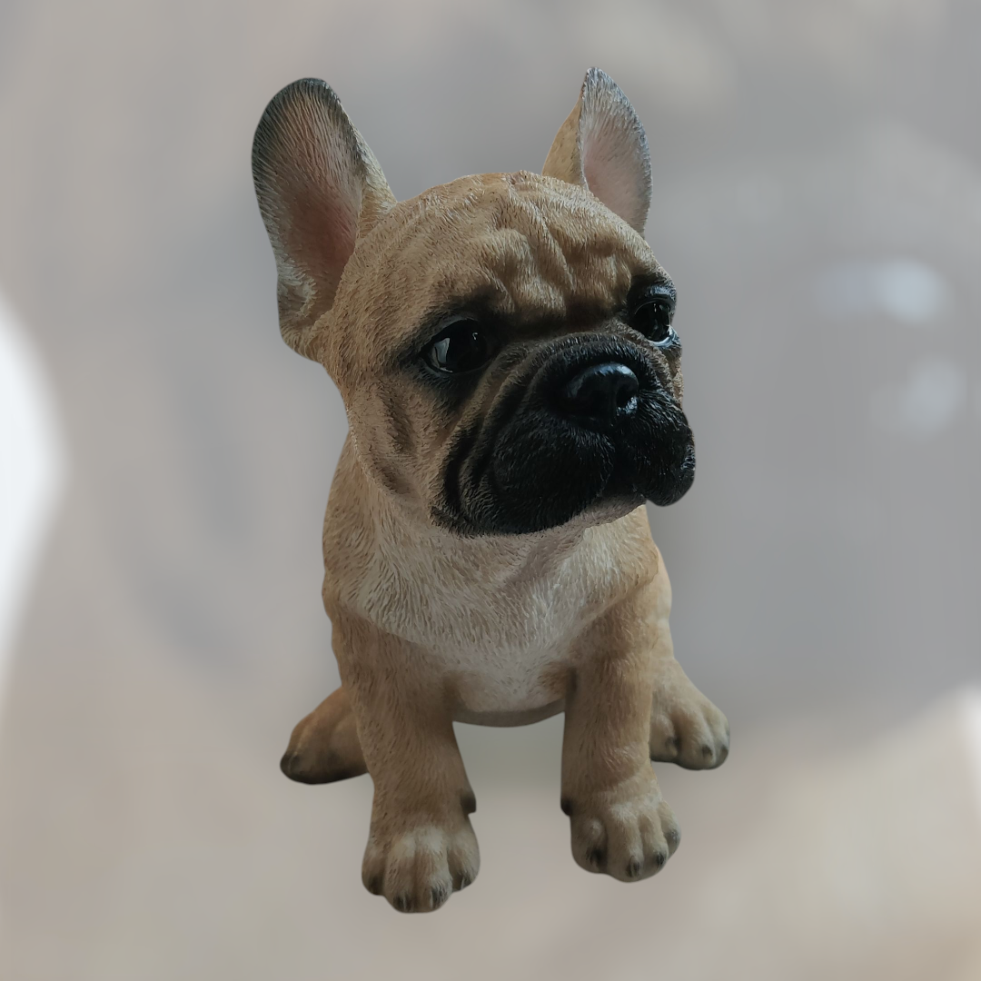 hundehvalp fransk bulldog