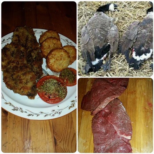 Gåseschnitzler