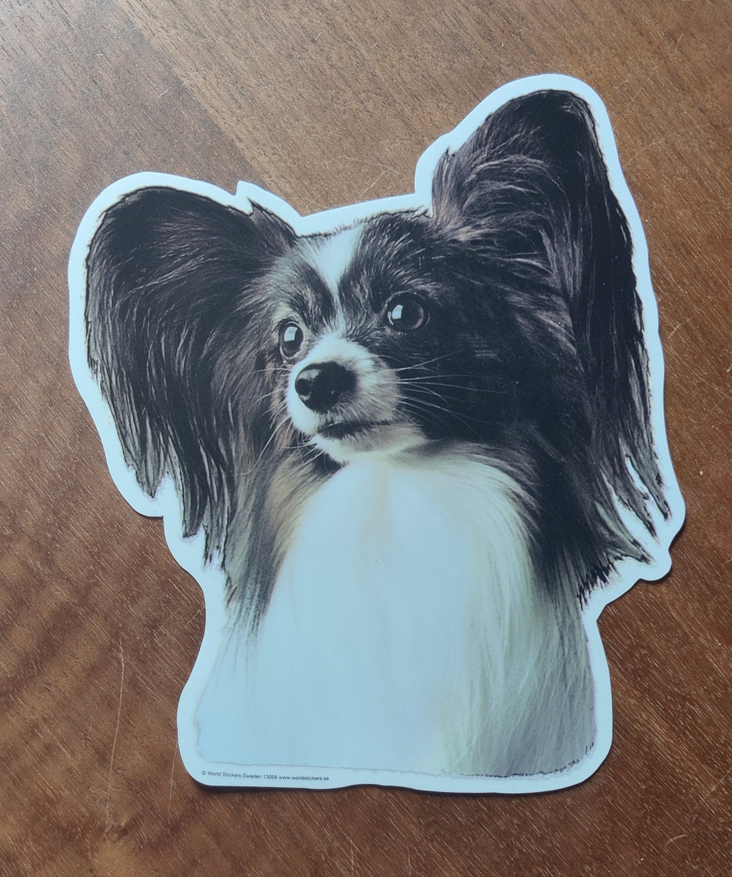 Sticker til din bil - hund