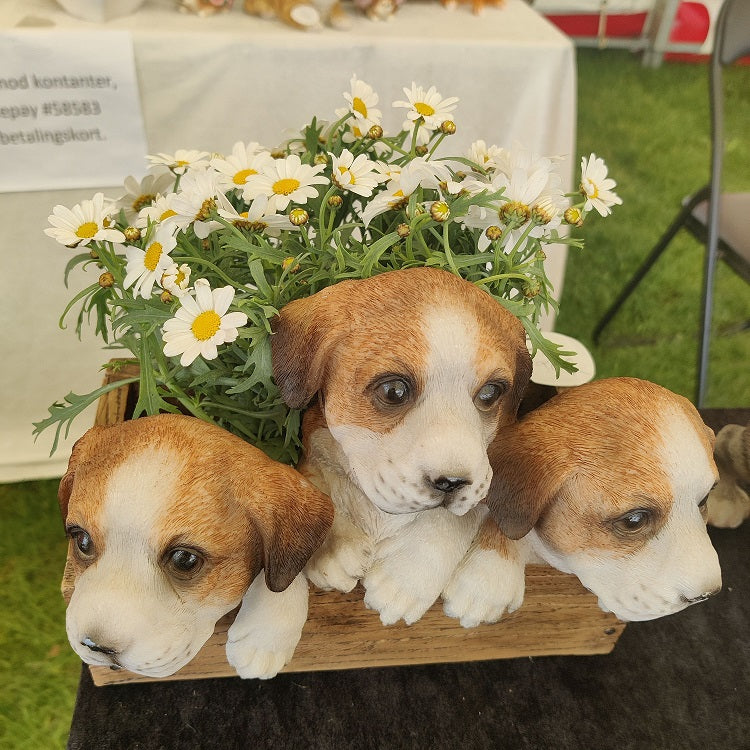 blomsterkurv med hvalpe