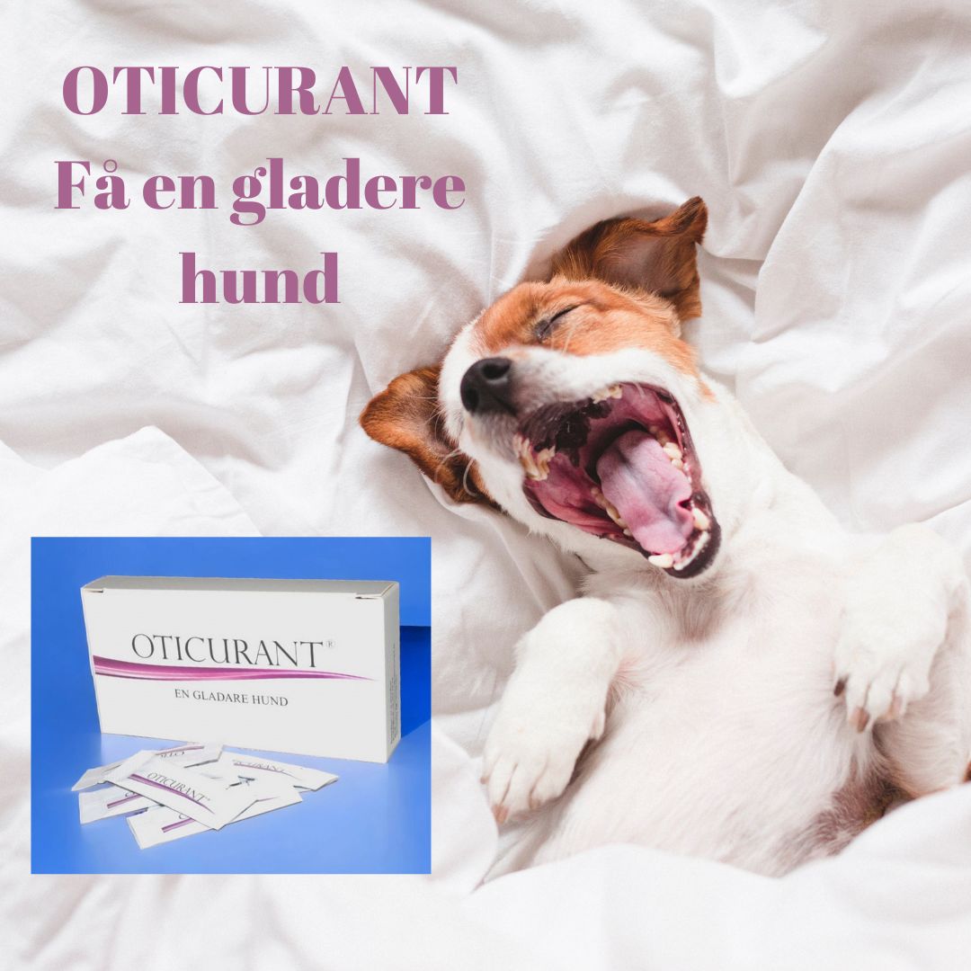 Oticurant - ørerens