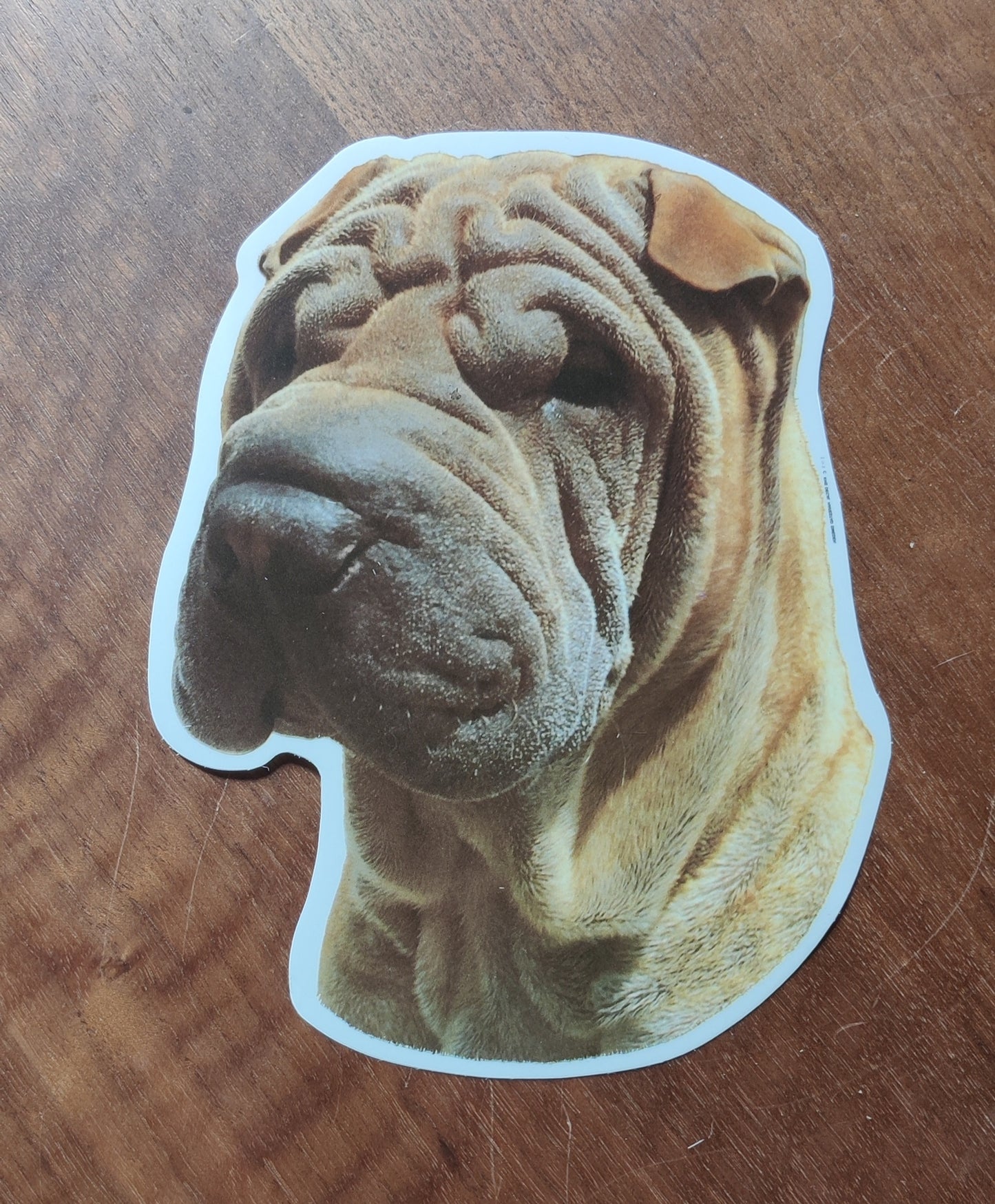 Sticker til din bil - hund