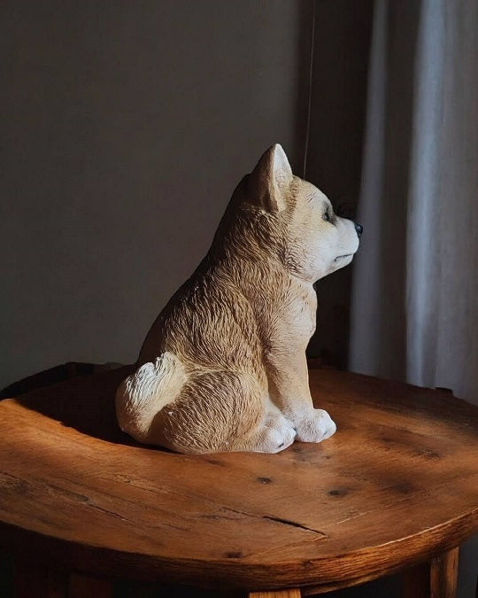 Shiba Inu