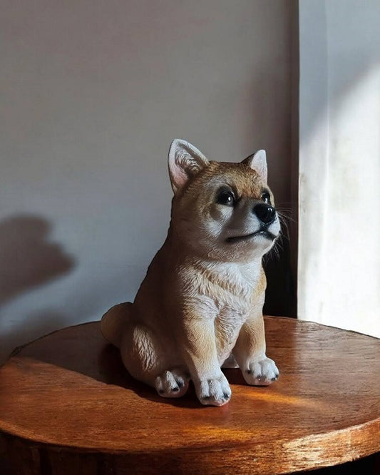 Shiba Inu