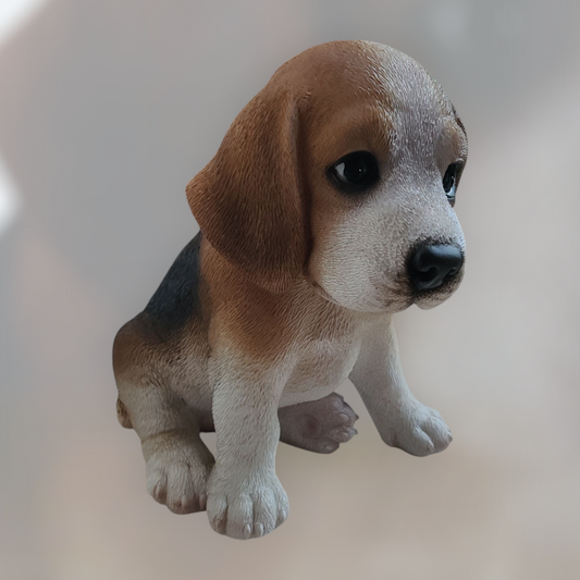 Beagle