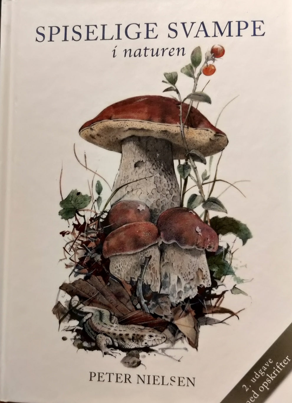 Pussel med Flora Danica - Svampar - 1000 bitar