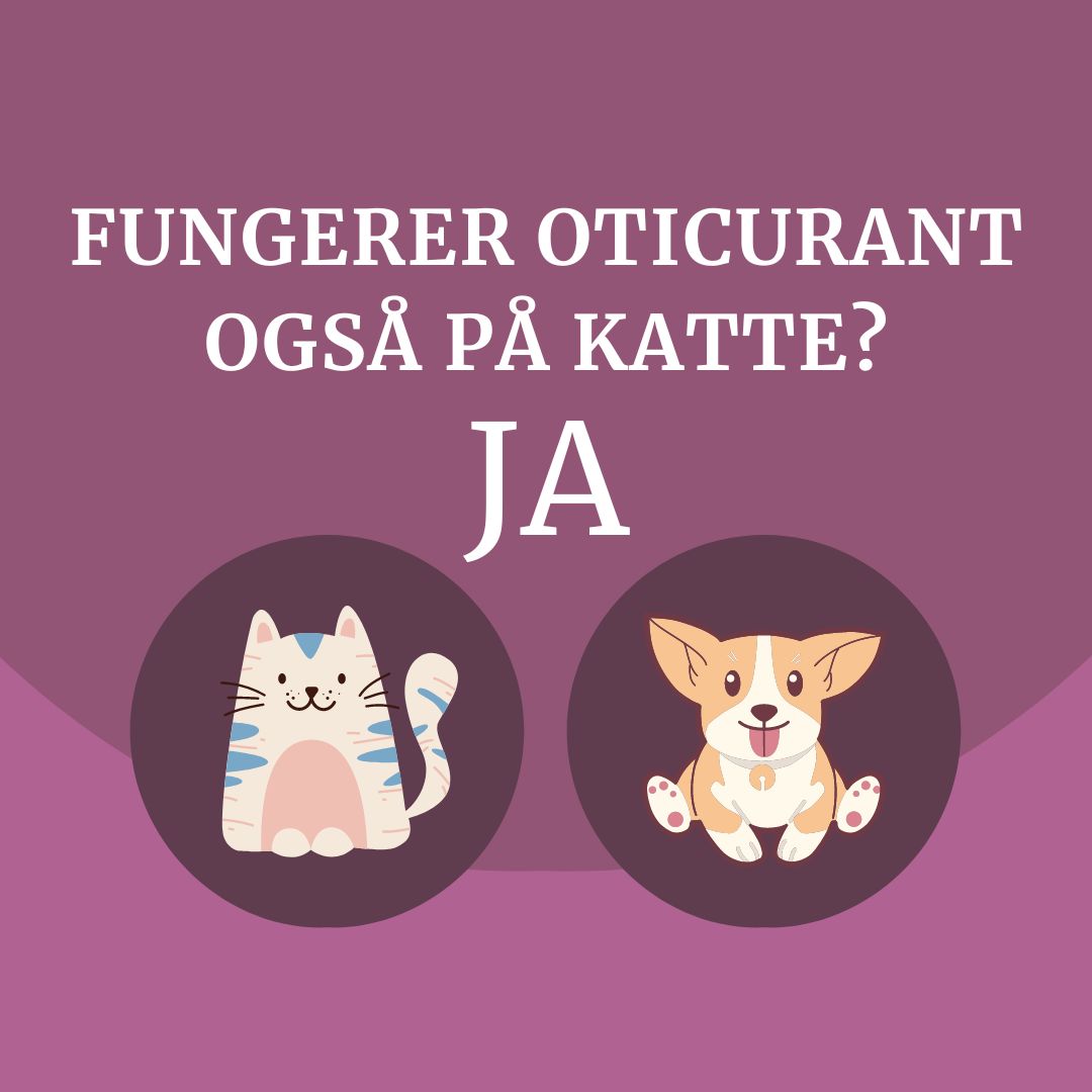 Oticurant til katteører og hundeører - mod kløe