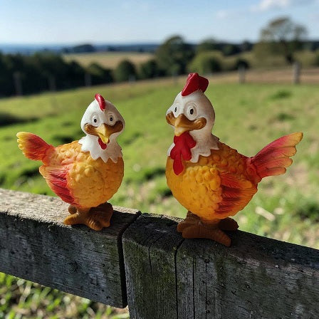 höna par i vackra färger.