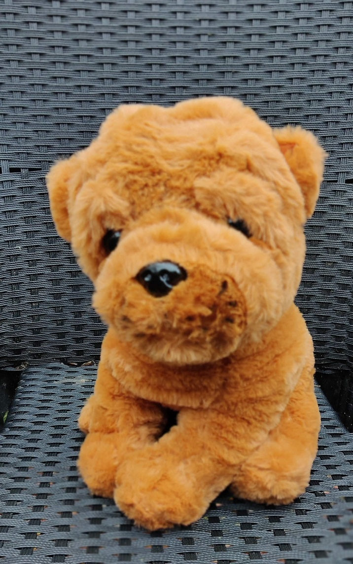 fluffy bamse som ligner hunderacen Shar Pei. Hunden sidder ned og er 32 cm høj. Flot mellembrun farve.