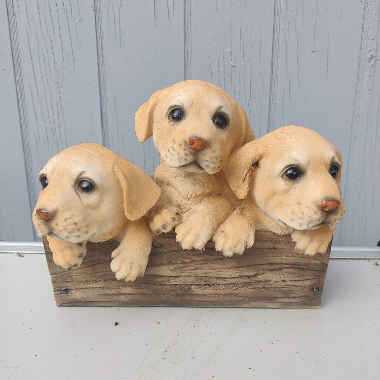 hundehvalpe