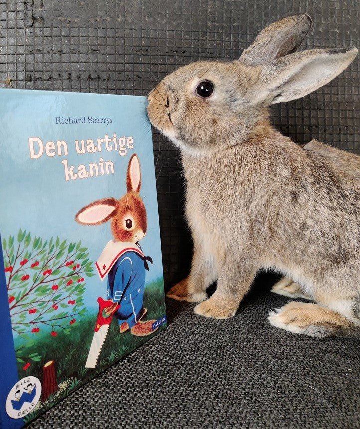 kaninunge iklædt matrostøj står med en sav og ser helt uskyldig ud. Kaninen har netop savet en blomsterbusk over. Der vises en ægte dværgkanin ved siden af børnebogen