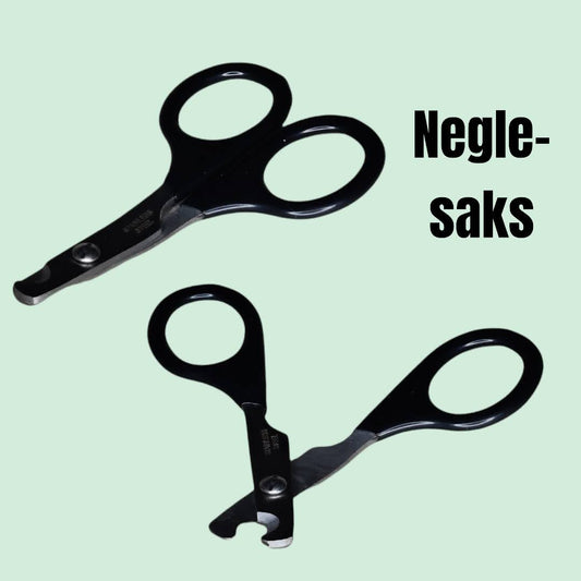 Neglesaks