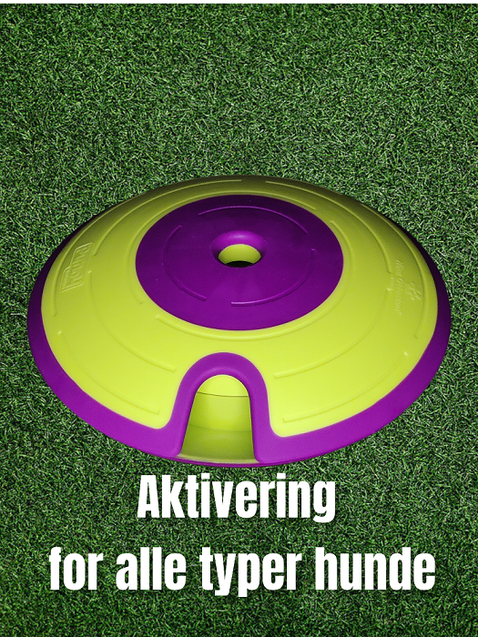 Aktivitetsleksaker